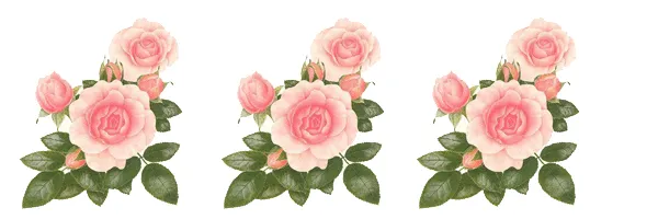 PARA IMPRIMIR: Bordes de rosas