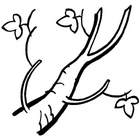 Imprimir: Dibujo infantil para colorear de una rama de árbol en otoño Imprimir: Dibujo infantil para colorear de una rama de árbol en otoño