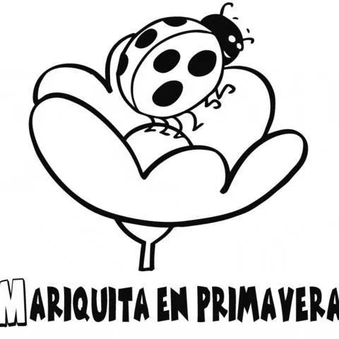 11975-4-dibujos-mariquita-en- ...