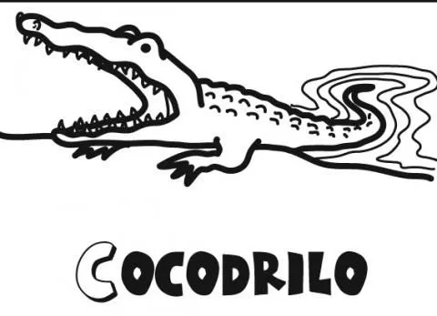 Dibujos de Cocodrilo para colorear