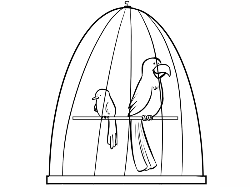 Dibujos de pajaros para colorear - Imagui