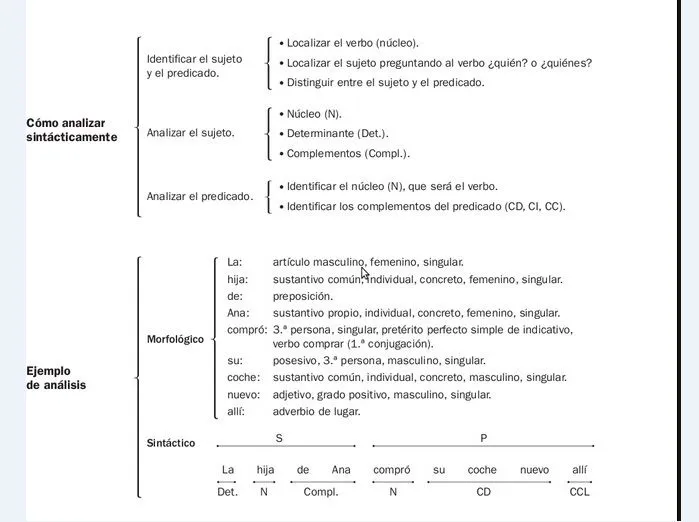 imprimir | Segundo Y Tercer ciclo primaria (3º - 4º y 5º- 6º ...