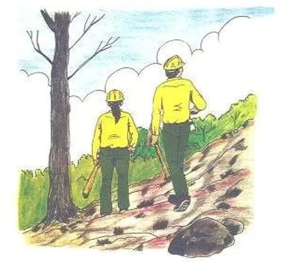 Incendios forestales para dibujar - Imagui