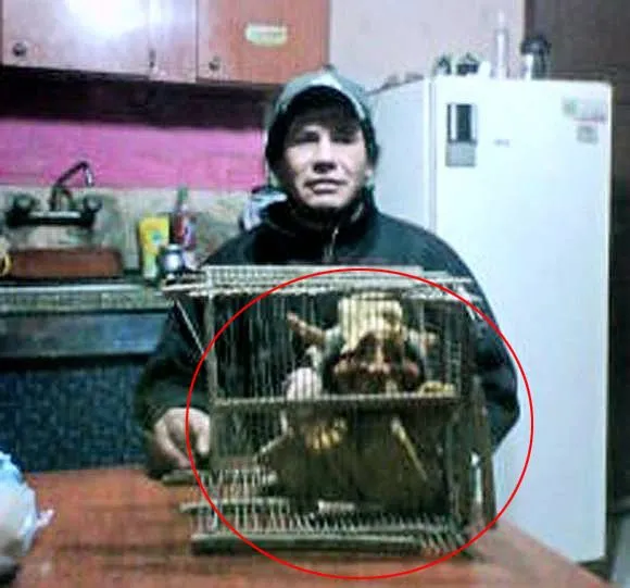 El increíble caso del hombre que aseguró haber atrapado un duende ... El increíble caso del hombre que aseguró haber atrapado un duende ...