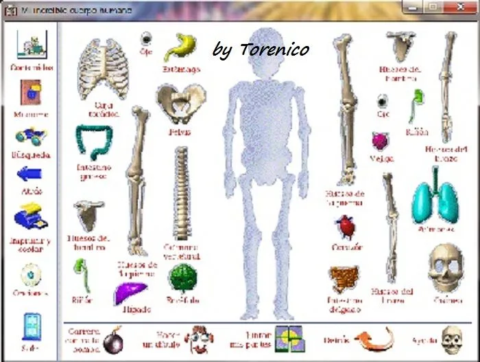 Mi Increíble Cuerpo Humano (Pc - Español) Descargar Gratis Mi Increíble Cuerpo Humano (Pc - Español) Descargar Gratis
