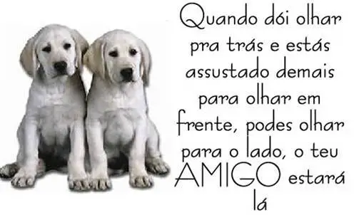 Fotos de cachorros con frases - Imagui