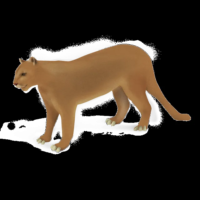 Index of /DescartesBasico/peqsisa/Animales/images Index of /DescartesBasico/peqsisa/Animales/images