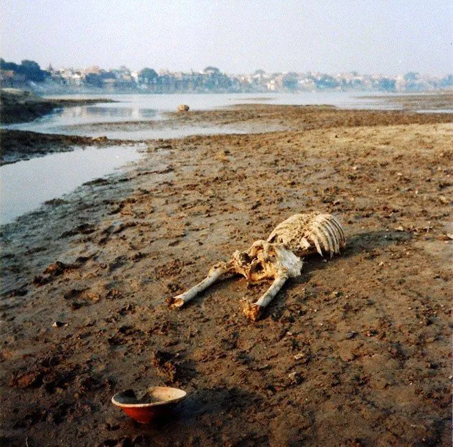 India | ESTO TE VA A GUSTAR