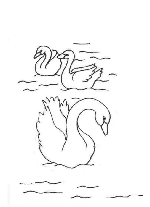 Cisne Dibujo