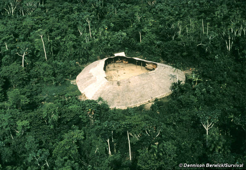 Indígenas de Brasil - Survival International Indígenas de Brasil - Survival International