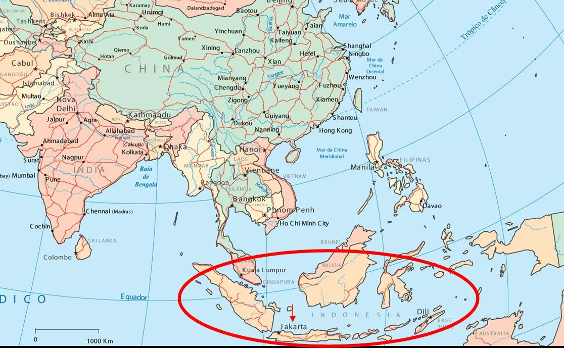 Indonesia | Disparatada