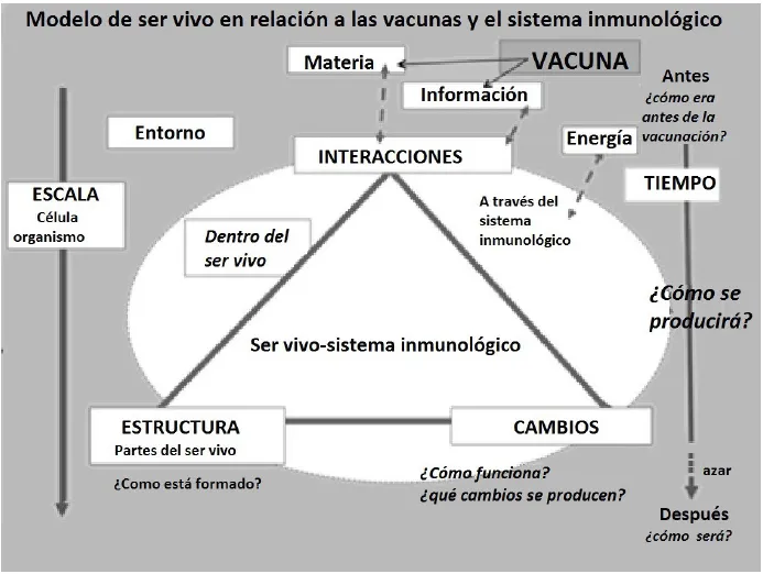 Influencia de la ayuda del profesorado en la construcción del modelo de sistema inmunológico y su aplicación en las tomas de decisión Influencia de la ayuda del profesorado en la construcción del modelo de sistema inmunológico y su aplicación en las tomas de decisión