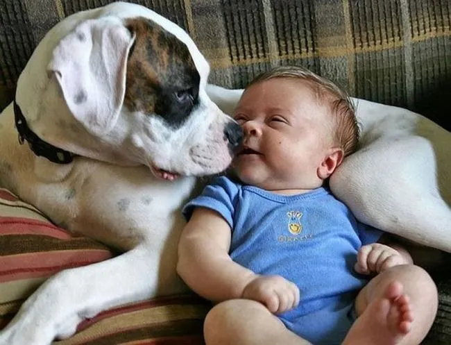 Influencia positiva de perros y gatos en los bebes | Superpiensos Blog Influencia positiva de perros y gatos en los bebes | Superpiensos Blog