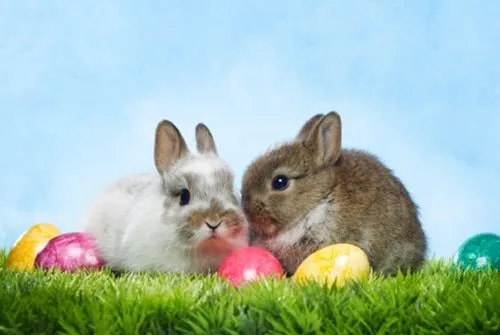 Info de interés: Pascua | Brickfield | Centro de Idiomas | Vila ...