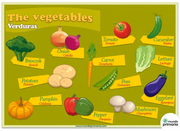 Aprender las verduras en inglés con esta infografía educativa.