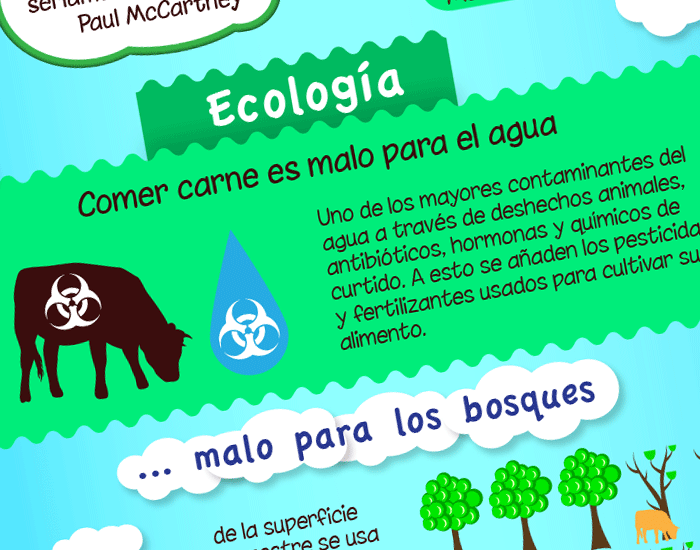 Infografía: El impacto ecológico del consumo de carne