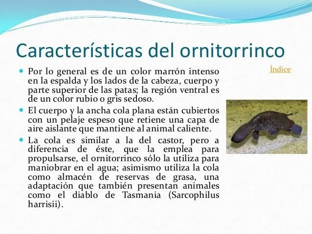 informacin-sobre-el- ...