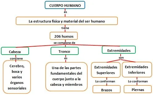 INFORMACION DIBUJOS E IMAGENES : ESQUEMA DEL CUERPO HUMANO