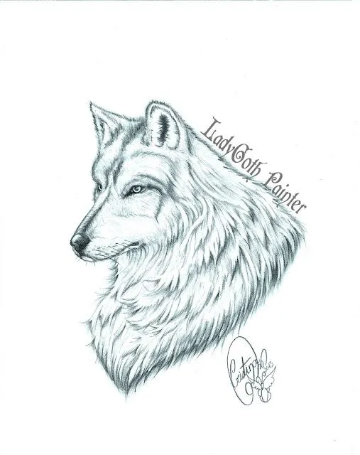 Información sobre dibujos de lobos a lapiz - Imagui Información sobre dibujos de lobos a lapiz - Imagui