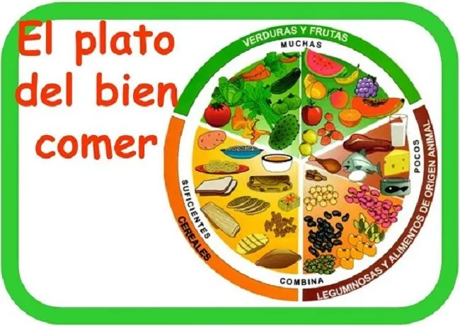 Información sobre el plato del bien comer - ThingLink