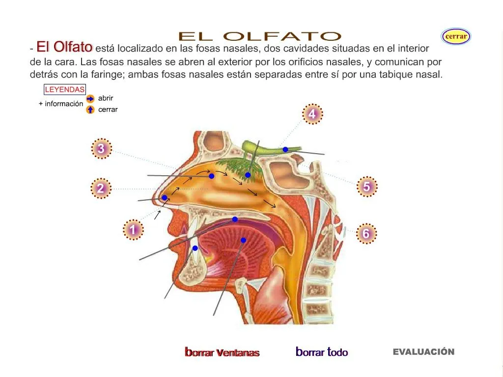 Información en la red: Recurso adecuado para mi unidad didáctica. Información en la red: Recurso adecuado para mi unidad didáctica.