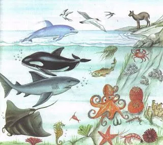 Información sobre el reino animal | El BatiBlog - Información ... Información sobre el reino animal | El BatiBlog - Información ...