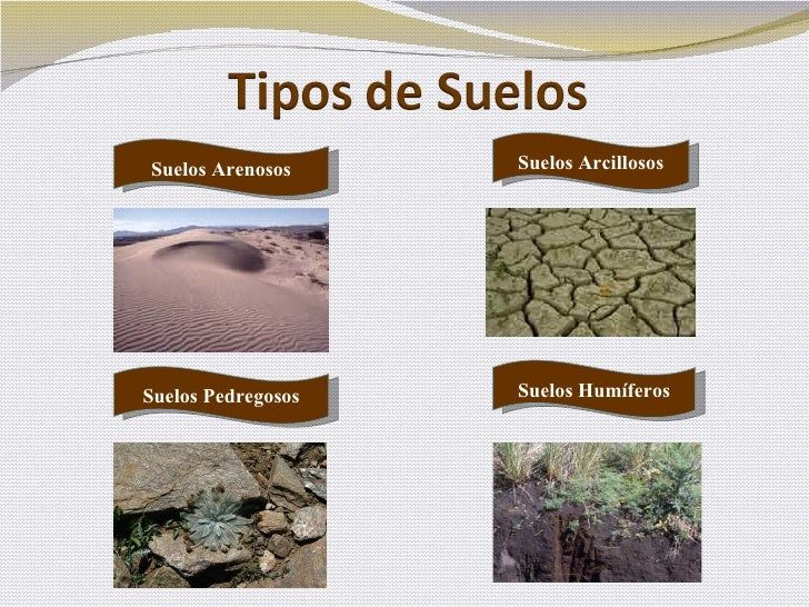 Tipos de suelos arenoso arcilloso humifero - Imagui