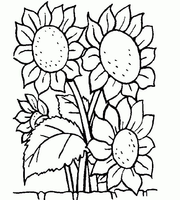 Los girasoles van gogh para colorear - Imagui Los girasoles van gogh para colorear - Imagui
