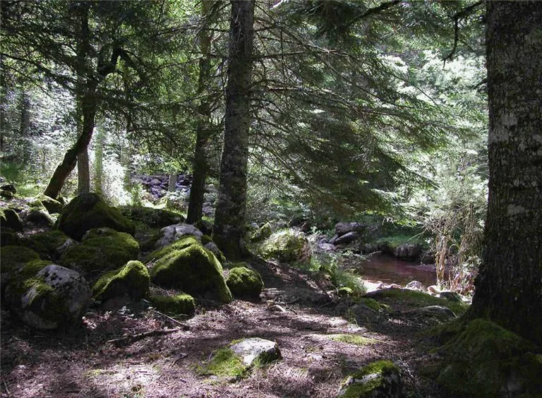 Informática en el Medina Albaida | Blog de recursos para la ...