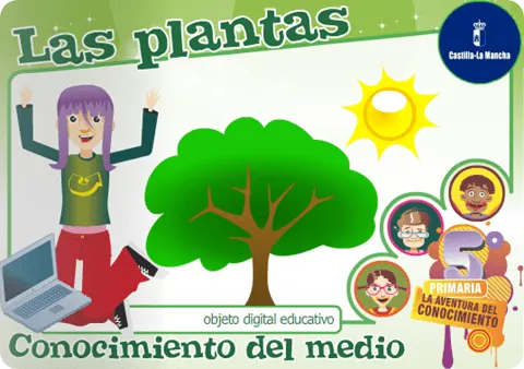 Imágenes de las partes de la planta para niños - Imagui Imágenes de las partes de la planta para niños - Imagui