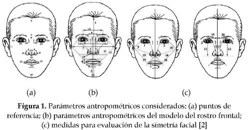 Ingeniería y Desarrollo - Algorithm to obtain anthropometric ... Ingeniería y Desarrollo - Algorithm to obtain anthropometric ...