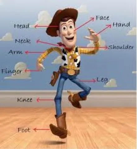 INGLÉS EN EL AULA: Deja que Woody nos enseñe las partes del cuerpo ... INGLÉS EN EL AULA: Deja que Woody nos enseñe las partes del cuerpo ...