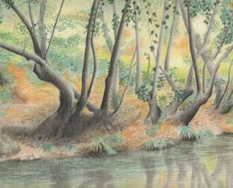 Iniciación para dibujo | Aprender manualidades es facilisimo.com Iniciación para dibujo | Aprender manualidades es facilisimo.com