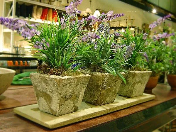 INICIE SU NEGOCIO EN CASA, VENDIENDO PLANTAS ARTIFICIALES, IDEA DE ... INICIE SU NEGOCIO EN CASA, VENDIENDO PLANTAS ARTIFICIALES, IDEA DE ...