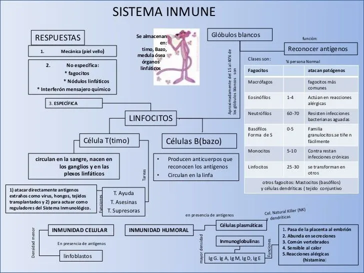 Inmunidad