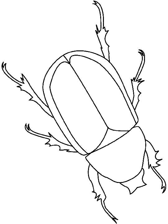 Dibujos para colorear de Insectos, Plantillas para colorear de ... Dibujos para colorear de Insectos, Plantillas para colorear de ...
