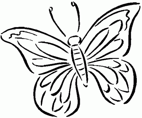 Dibujo mariposas pequeñas - Imagui