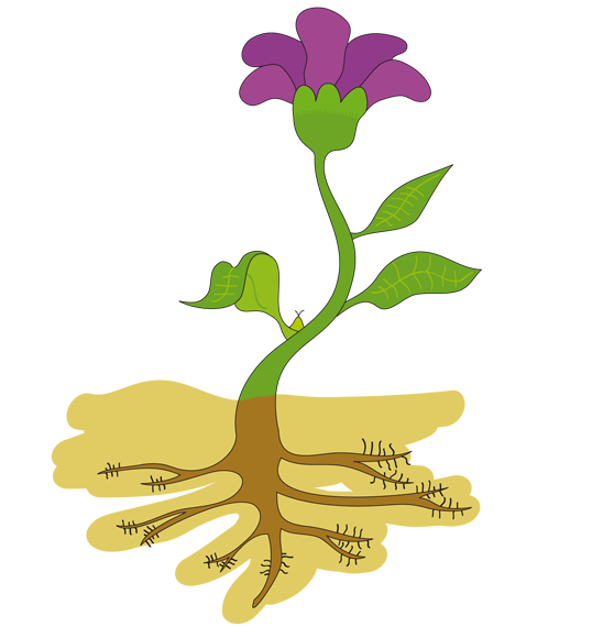 aprovechando los contenidos de ciencias naturales, haremos un ... aprovechando los contenidos de ciencias naturales, haremos un ...