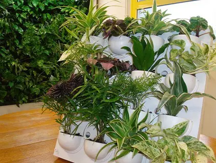 Utilisima luz en casa jardineria - Imagui