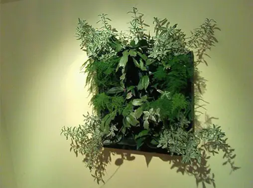 Cómo instalar un jardín vertical en casa? - Conciencia Eco Cómo instalar un jardín vertical en casa? - Conciencia Eco