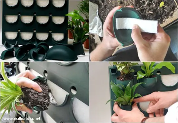 Cómo instalar un jardín vertical en casa? | Conciencia Eco