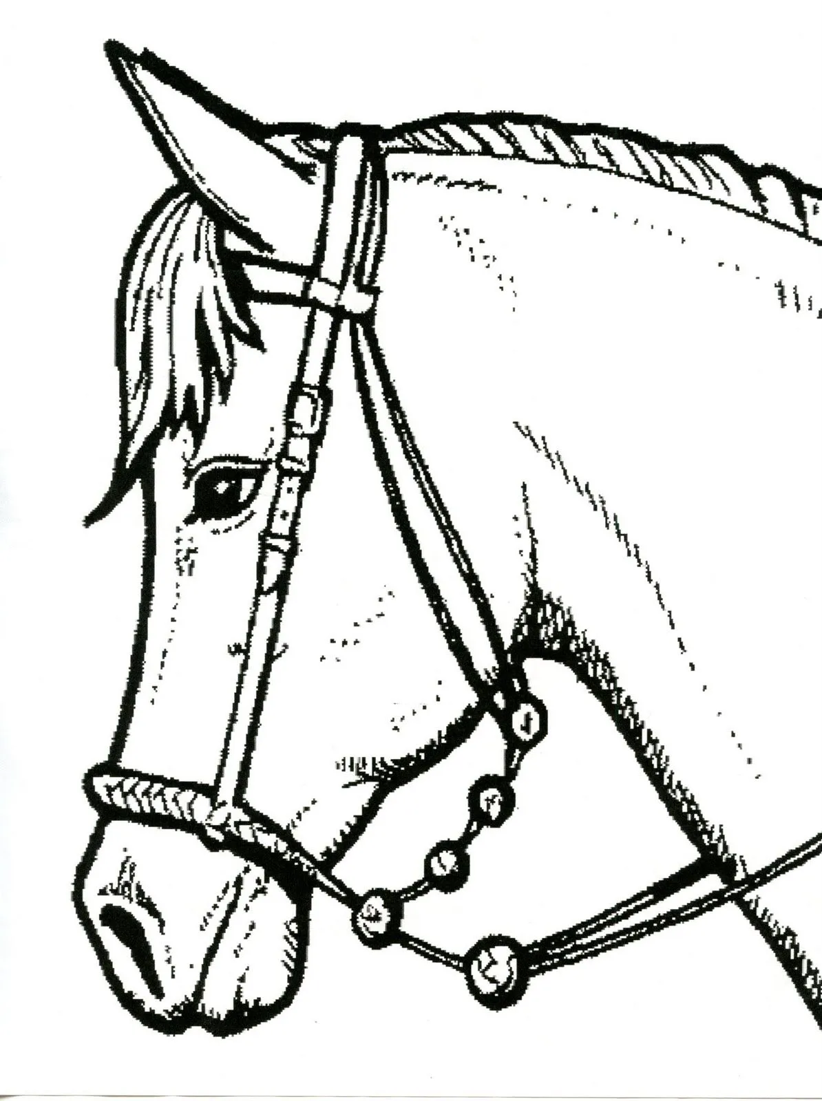Moldes para hacer un caballo - Imagui