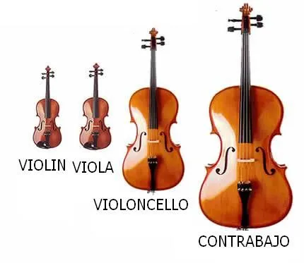 Instrumentos de cuerda nombres - Imagui