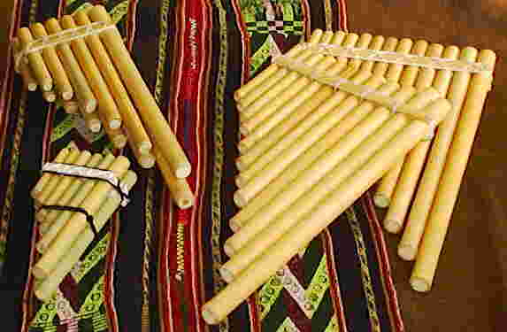 zampo001.jpg