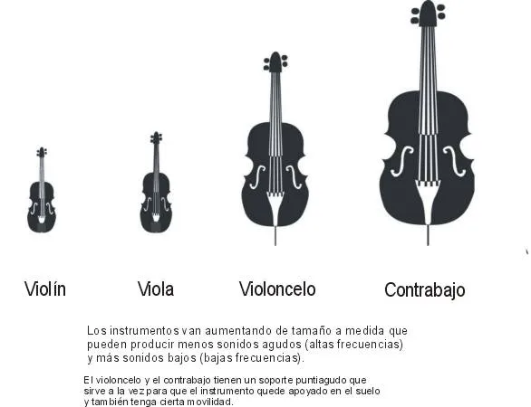 Instrumentos de cuerda nombres - Imagui