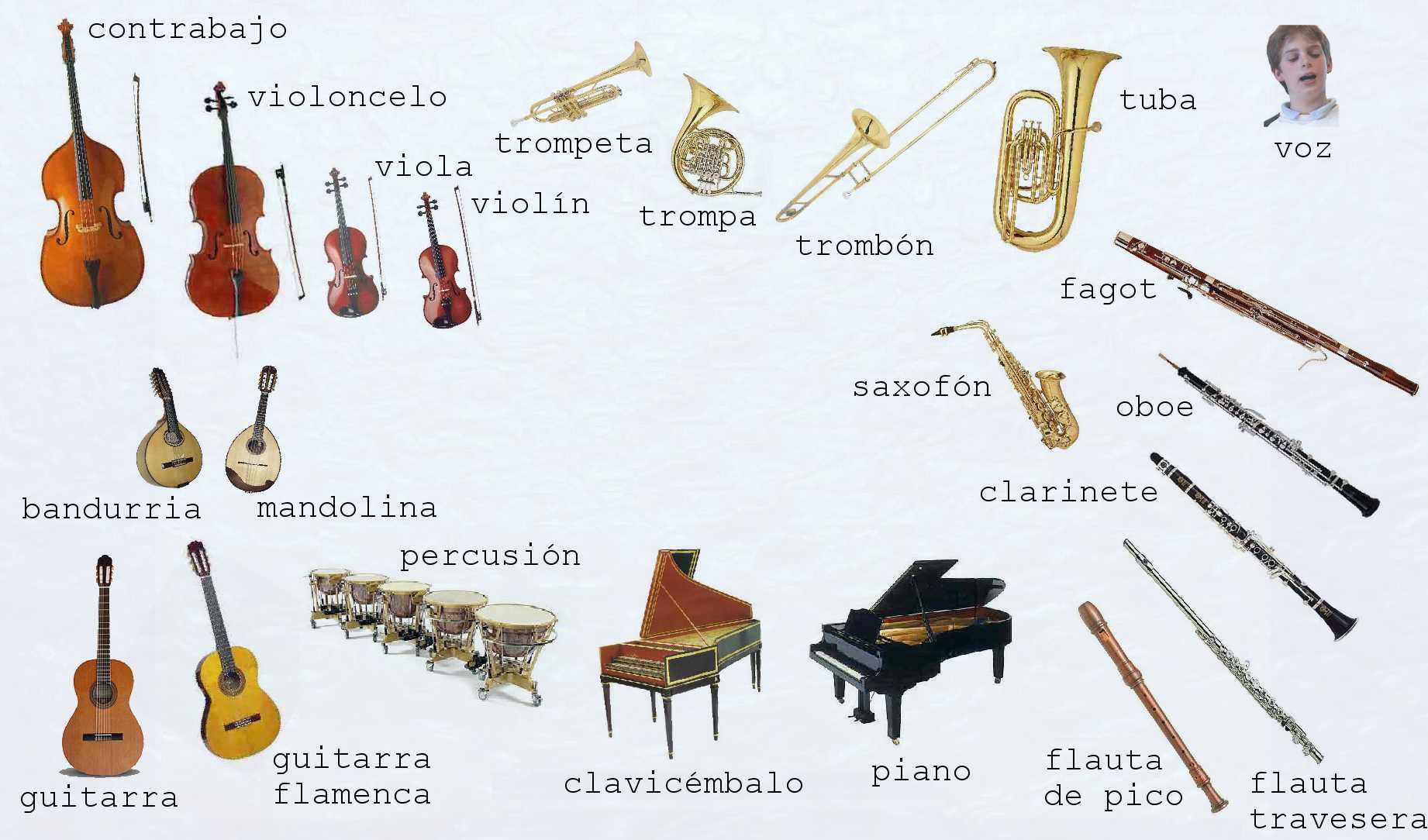 Instrumentos musicales y nombres - Imagui