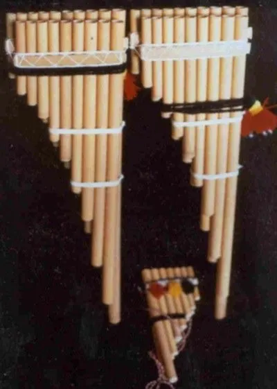 Instrumentos | Raíz Joven Instrumentos | Raíz Joven