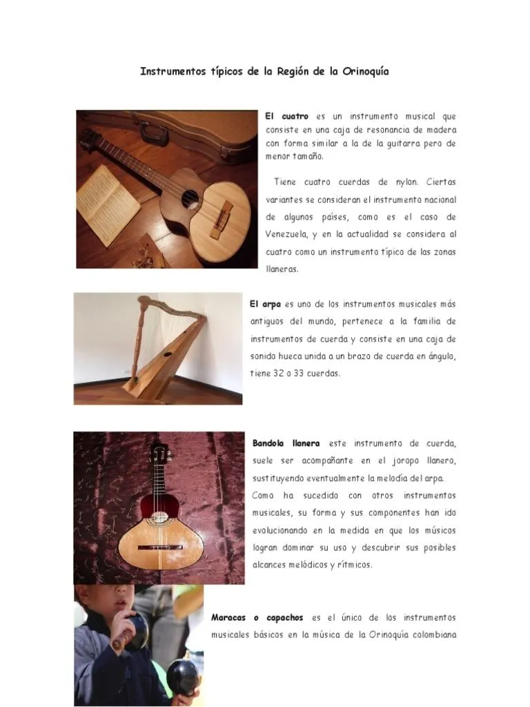Instrumentos Región de La Orinoquía | PDF | Instrumentos musicales | Las  artes escénicas