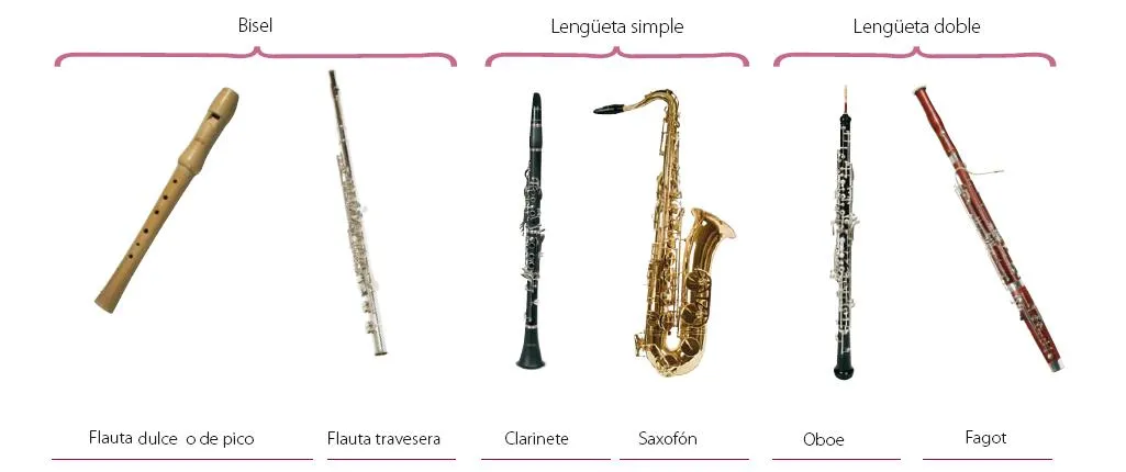 Instrumentos de viento dibujos con nombre - Imagui