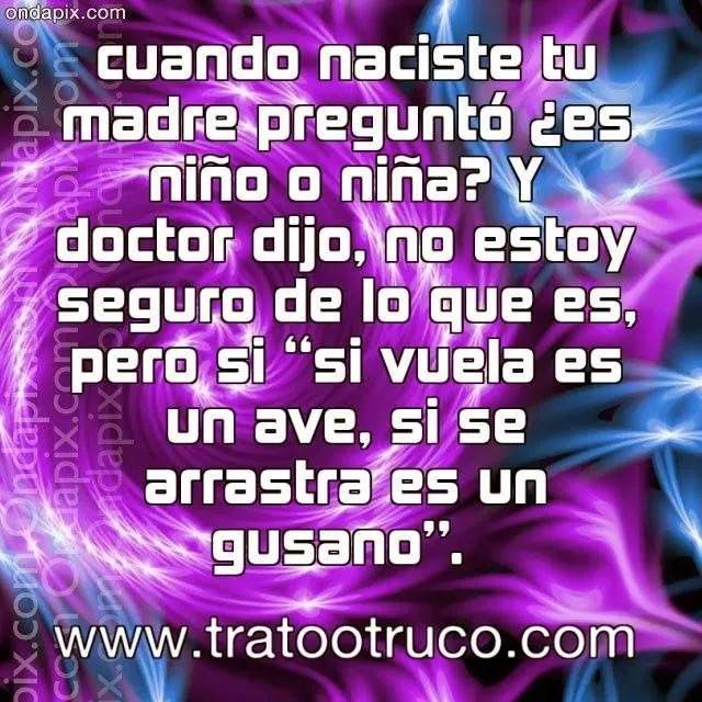 insultos para mujeres | Para San Valentín